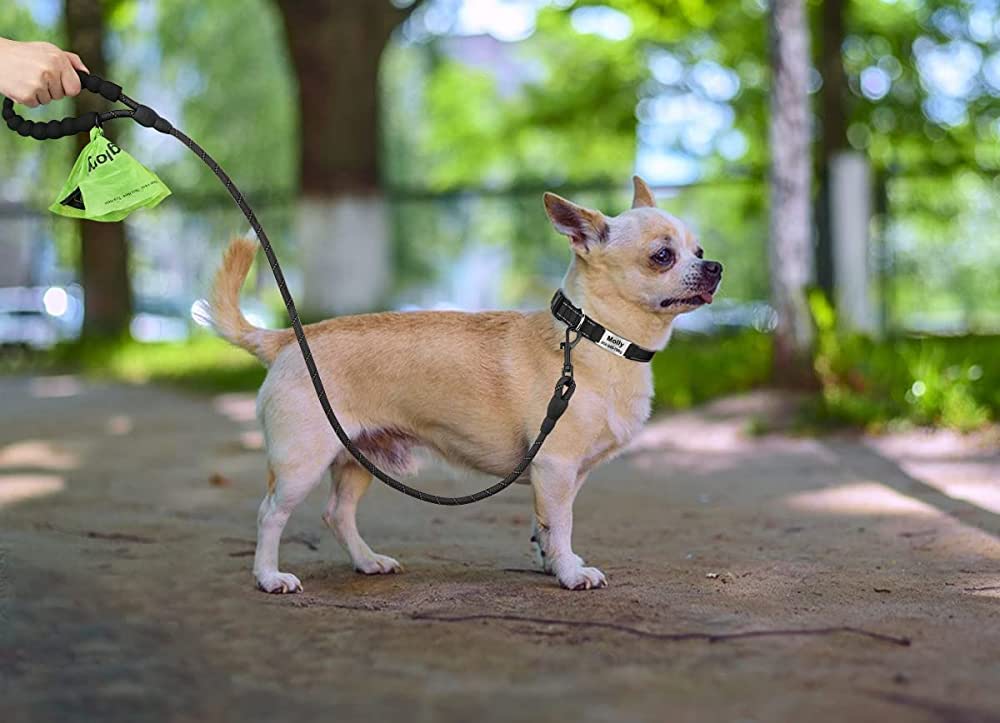 Benefits of Having a Waterproof Dog Collar